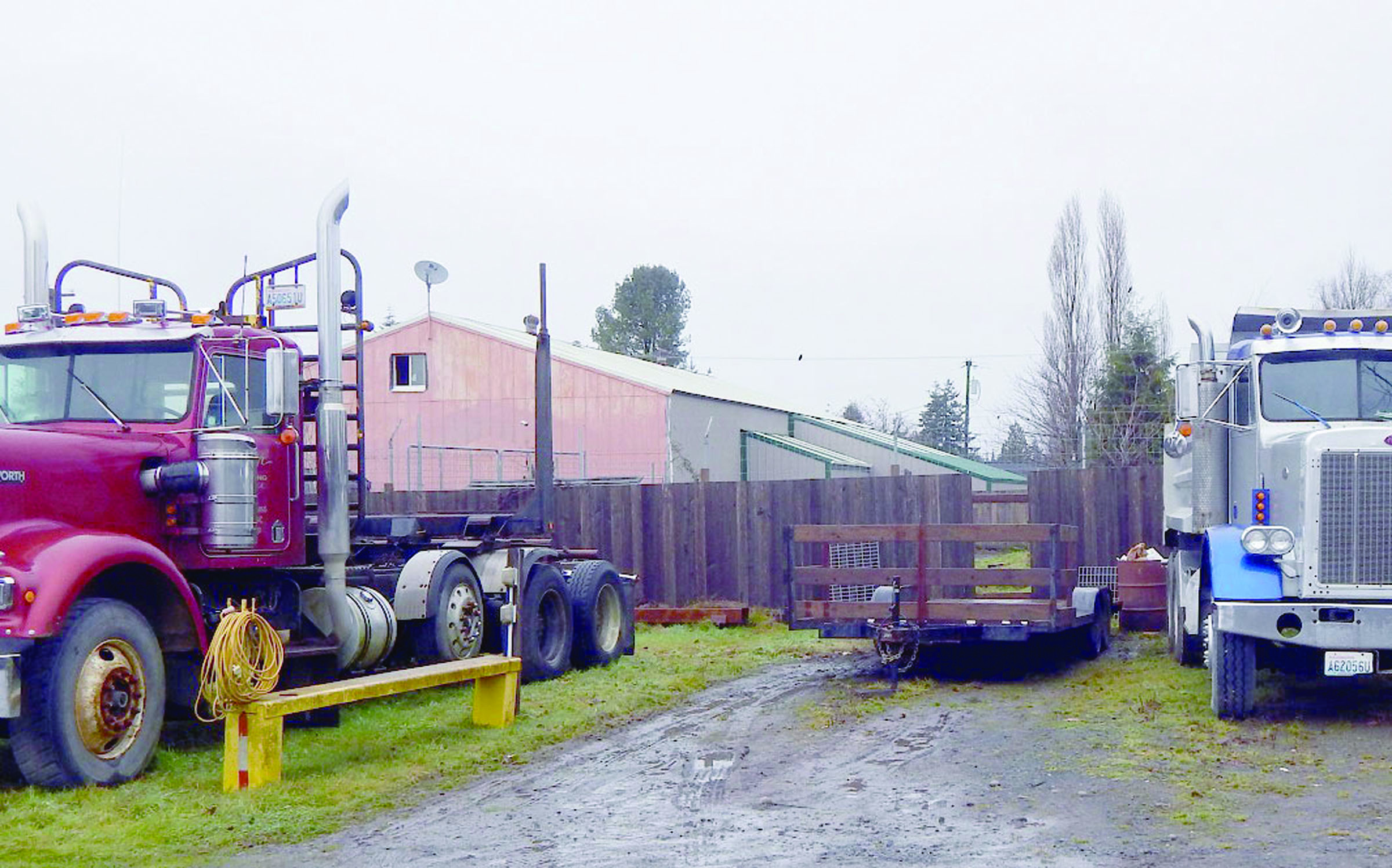 A hole in the fence around the Olympic Animal Sanctuary was used to load dogs from the shelter into a waiting truck. — Christi Baron for the Peninsula Daily News