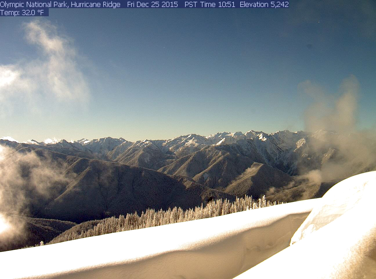 Heavy early winter snow has blanketed Hurricane Ridge