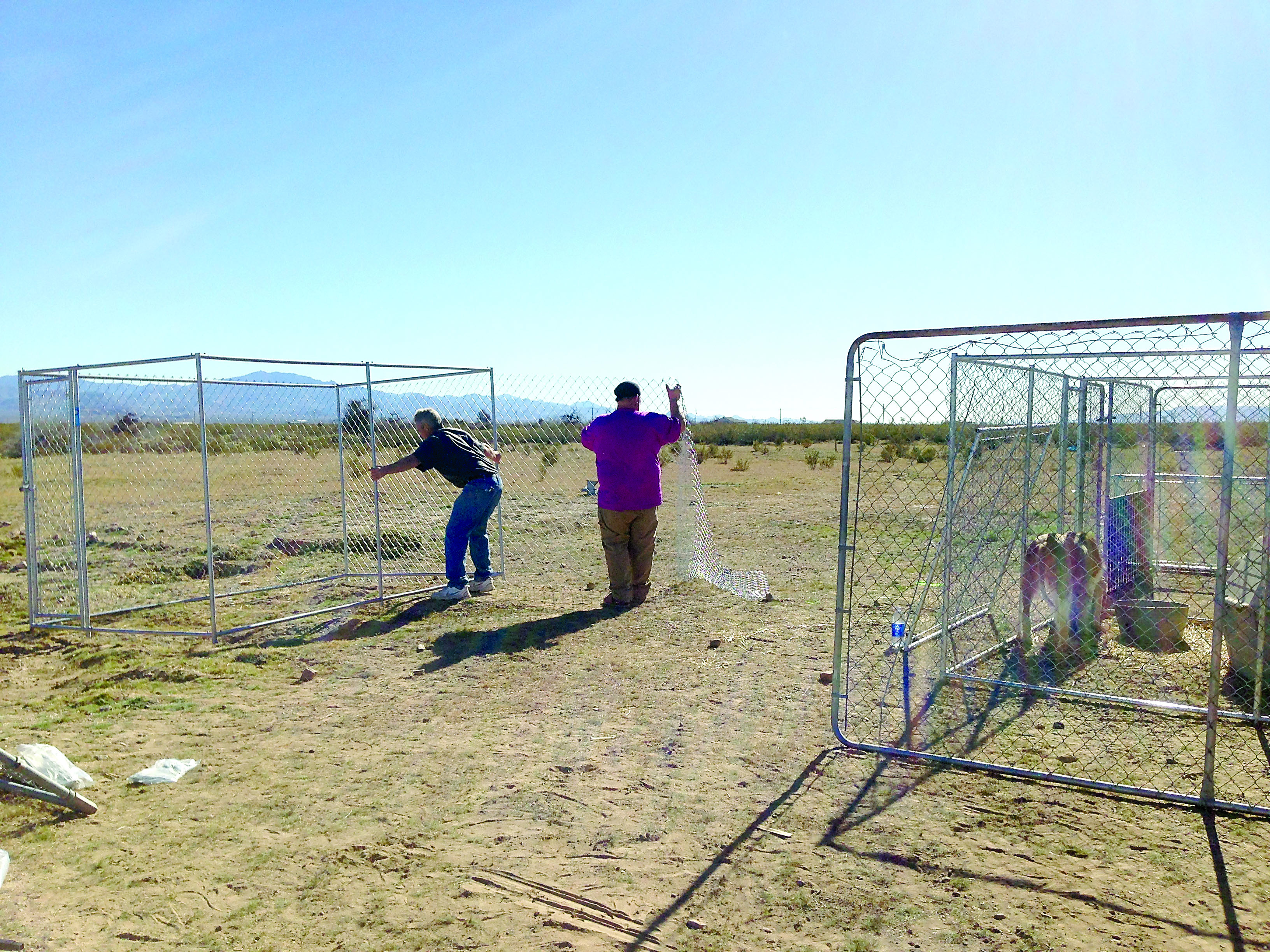 Two unidentified volunteers help erect additional outdoor kennels in Golden Valley