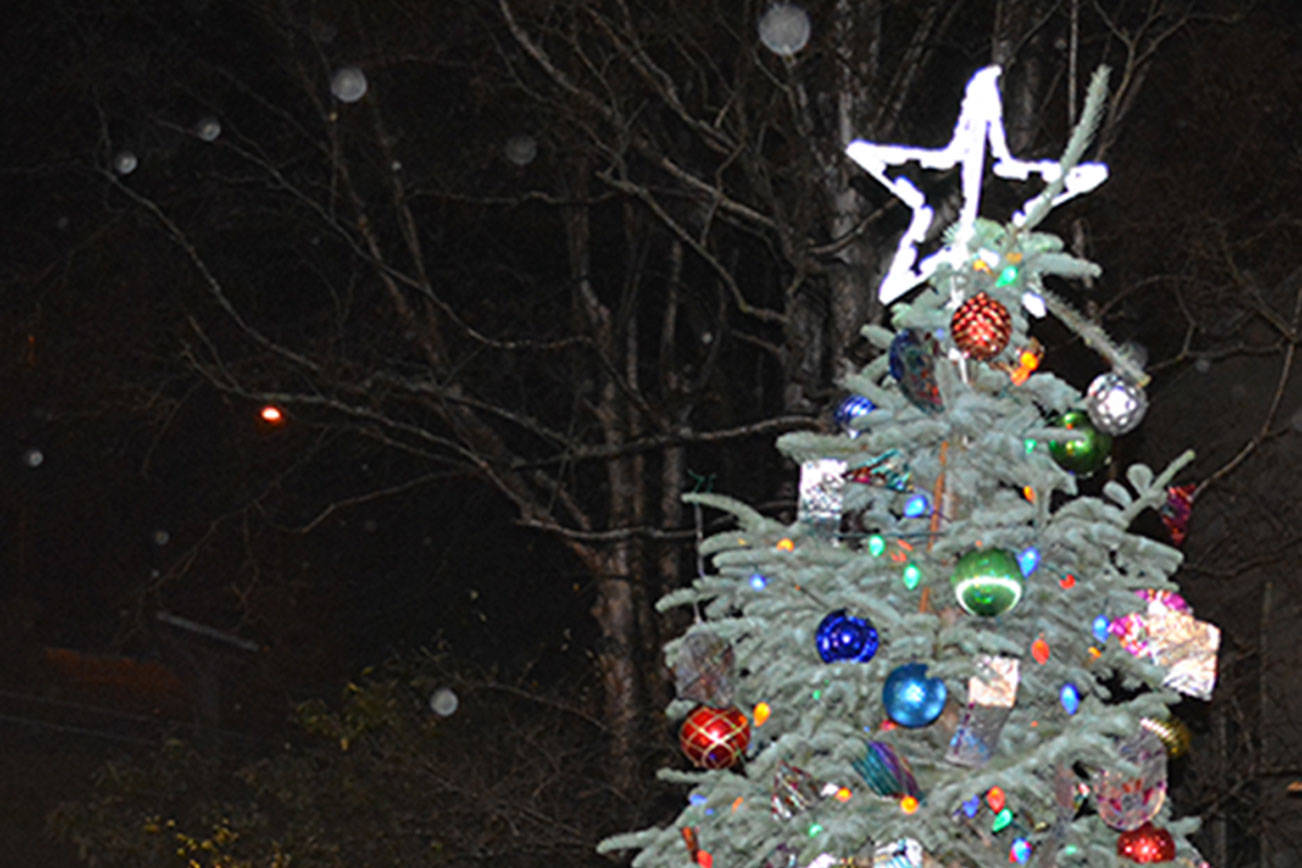 Hundreds gather for tree lighting, Santa visit in Port Townsend