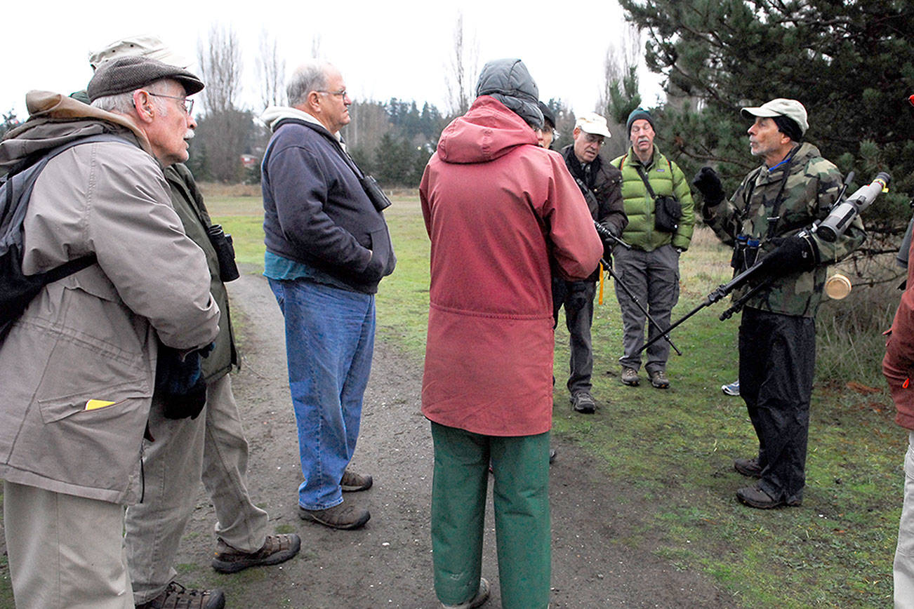 Christmas Bird Counts begin on Olympic Peninsula