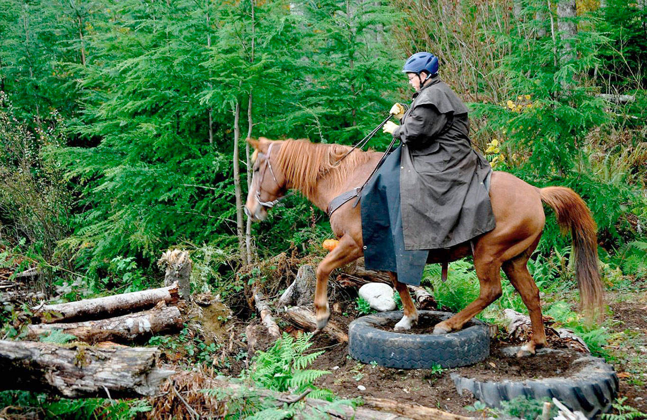 When it’s cold outside Jackie Bristol wears her Aussie-style duster raincoat, along with a fully insulated lap robe made by Martha Nicolas of Buckley. (Lynda Allen)