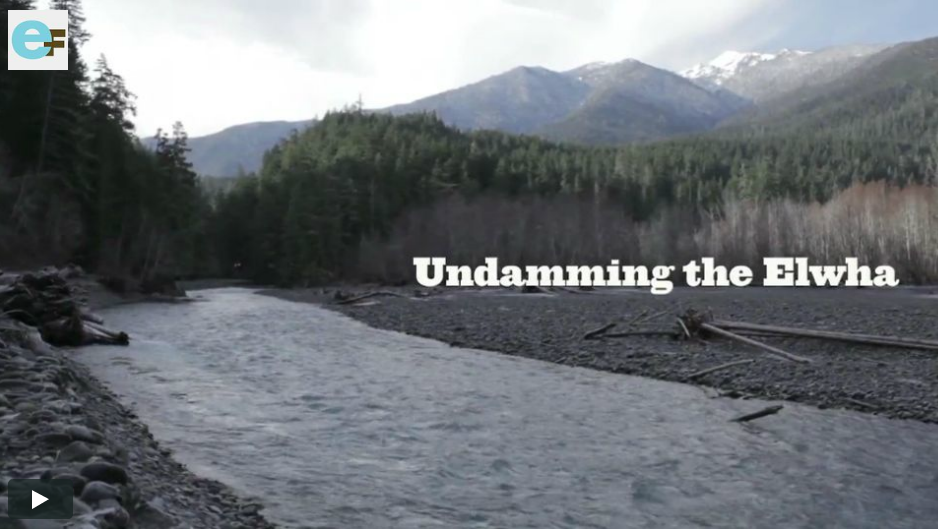 VIDEO — watch 'Undamming the Elwha' online