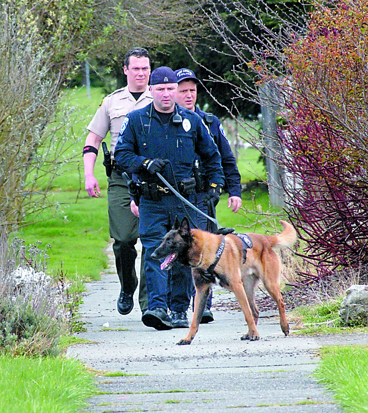 A search team made up of Port Angeles police Officer Kevin Miller
