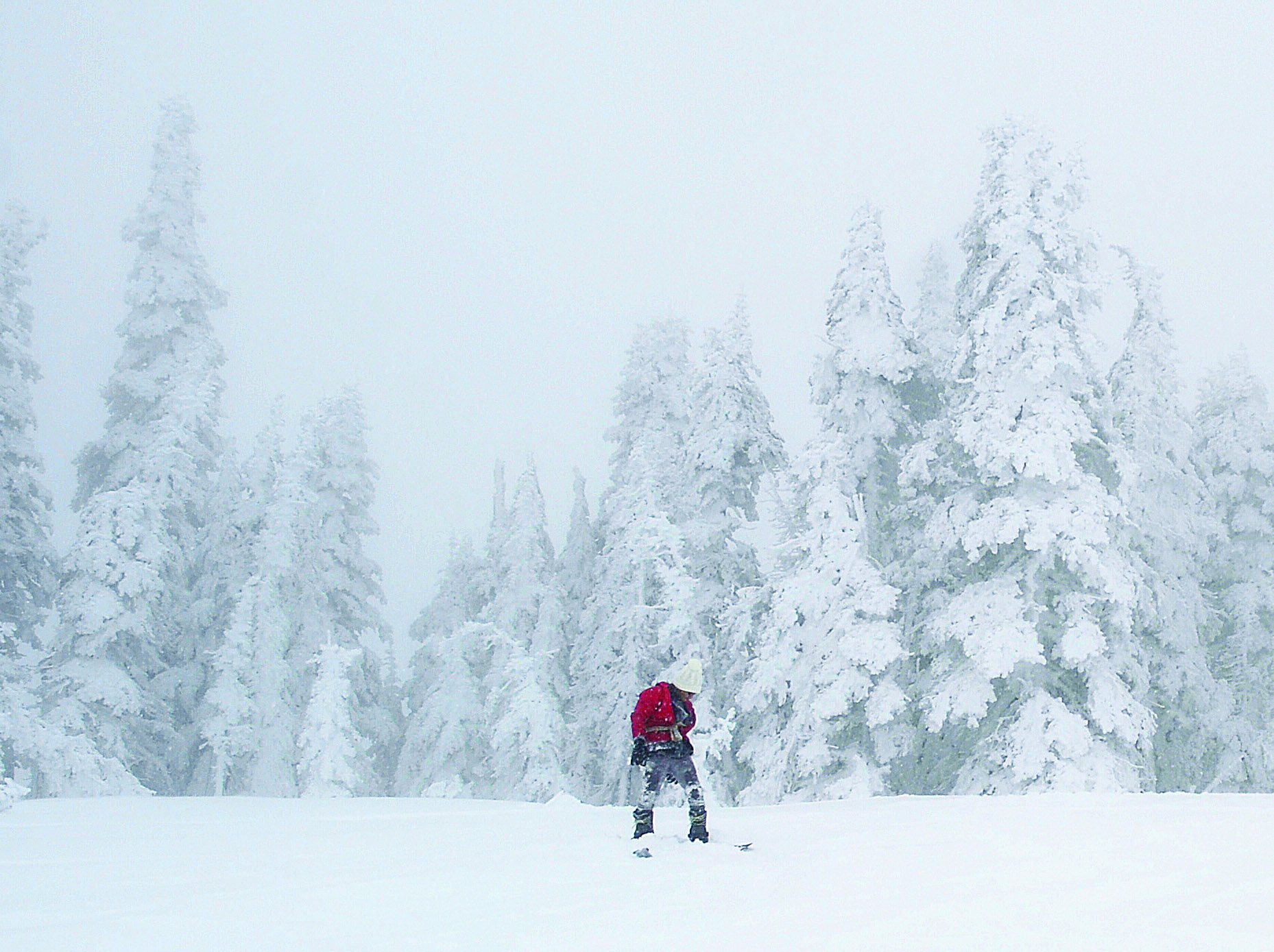 A snowboarder enjoys Hurricane Ridge on Sunday. Two feet of snow fell there Tuesday. Chris Tucker/Peninsula Daily News