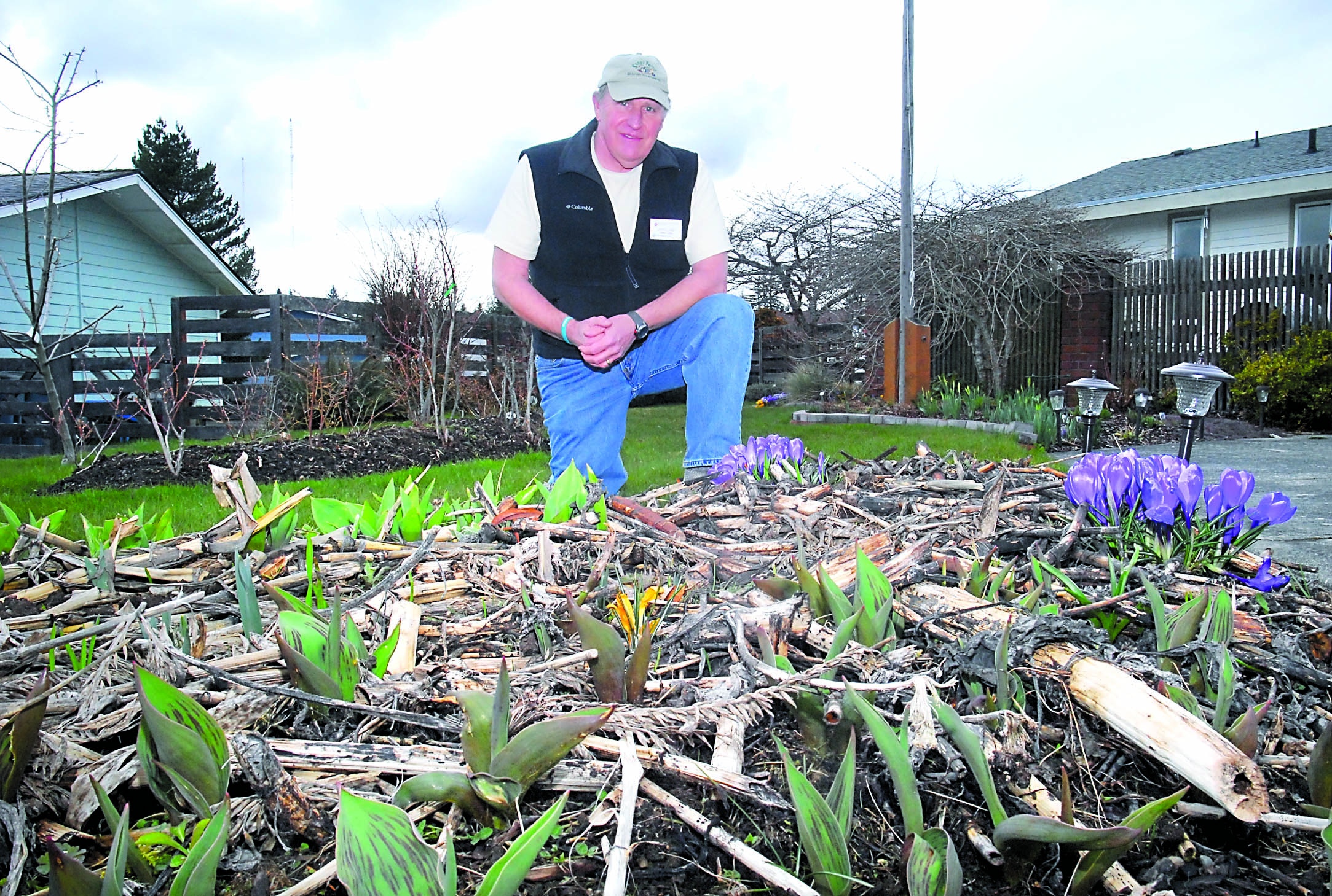 Master Gardener Larry Lang looks over his “lasagna garden