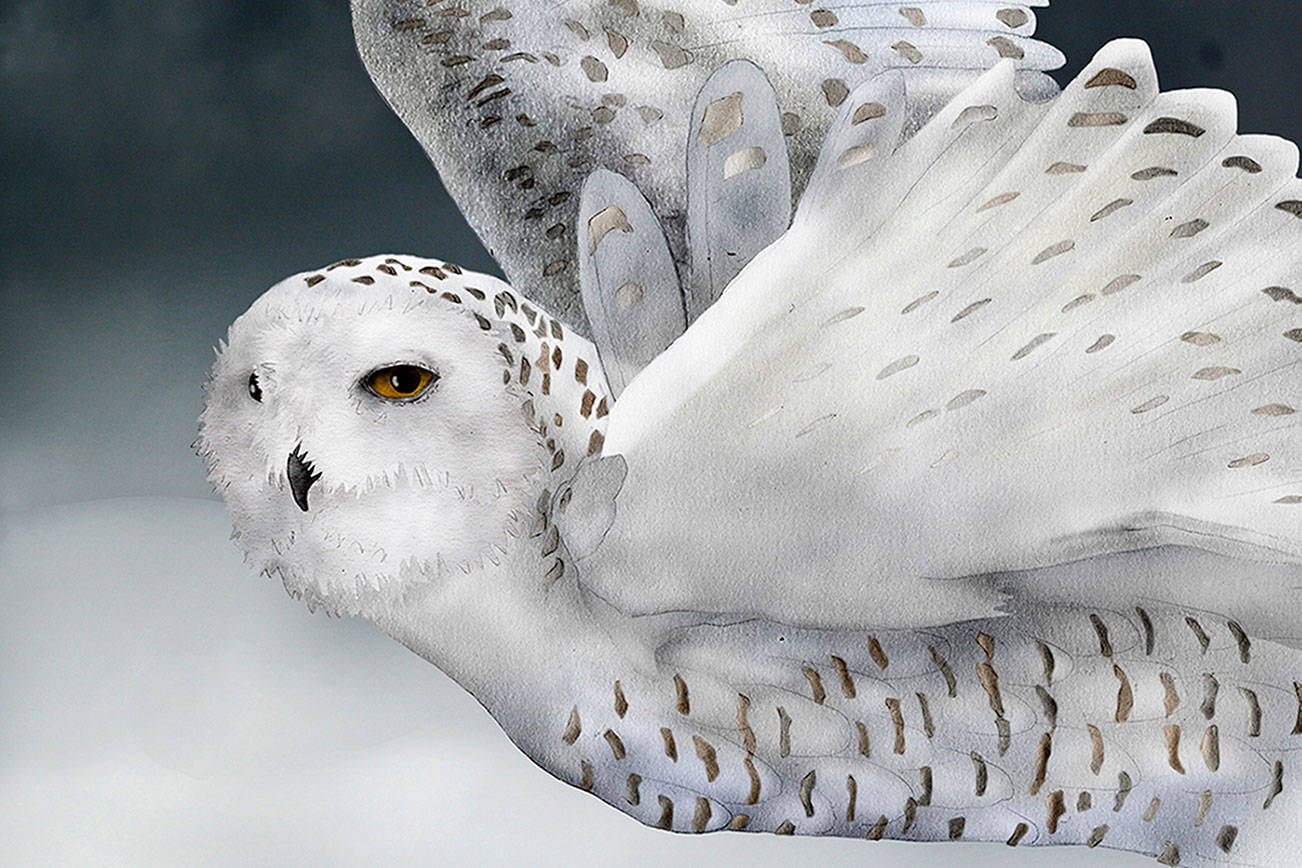 Art and a mystery offered at Sequim Art Walk