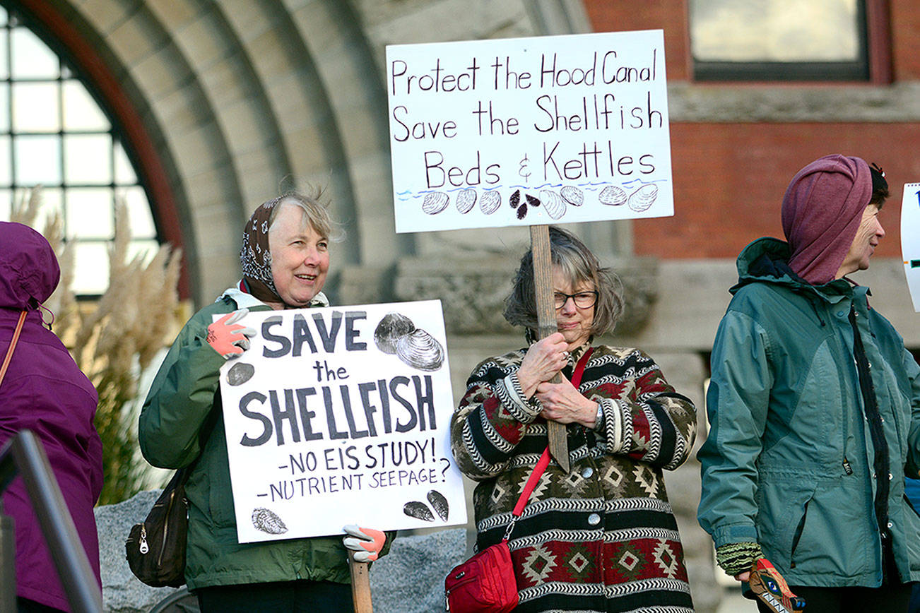 Draft plan reviewed for proposed Brinnon resort