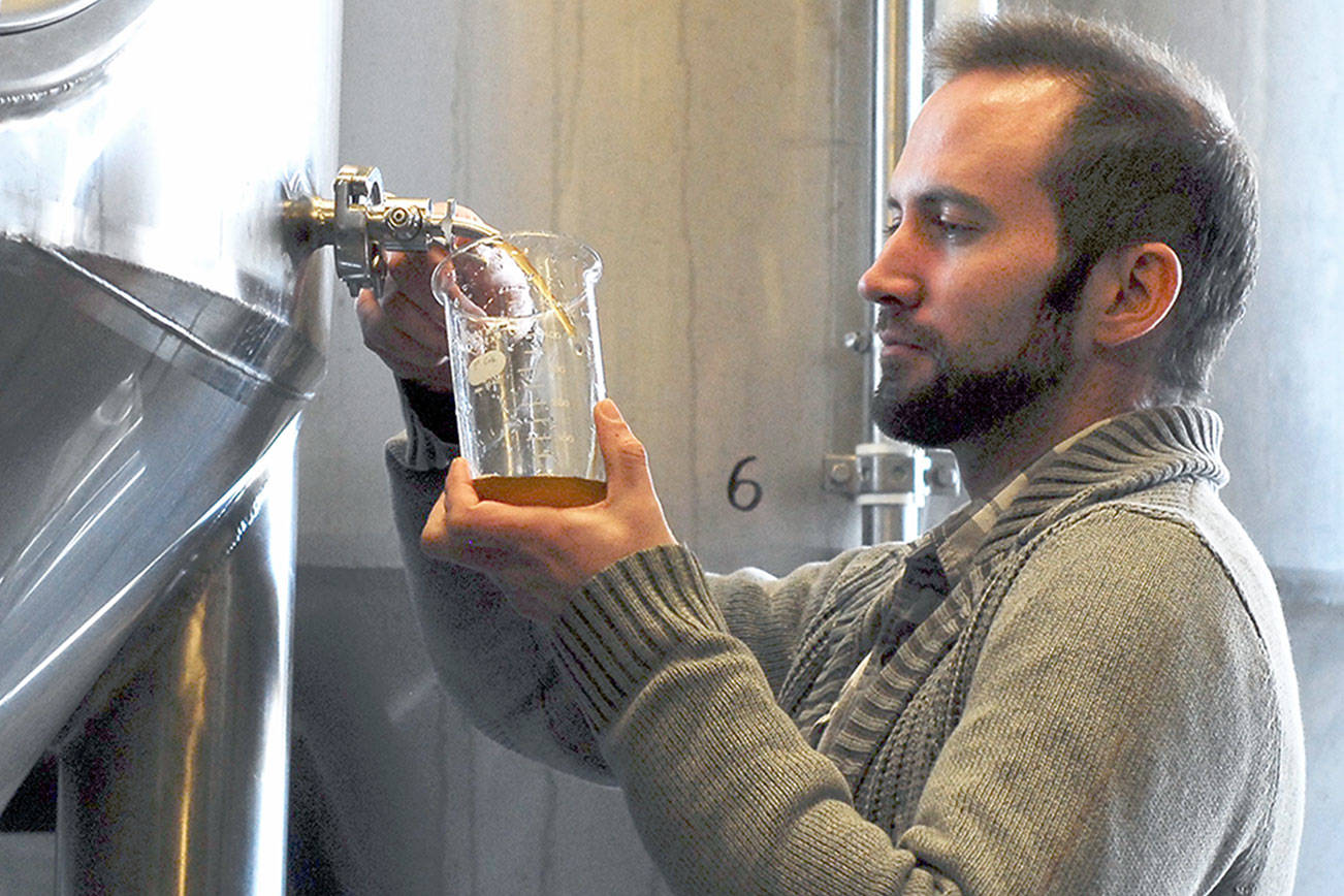 Port Townsend celebrates creative craft brews at Strange Brewfest this weekend
