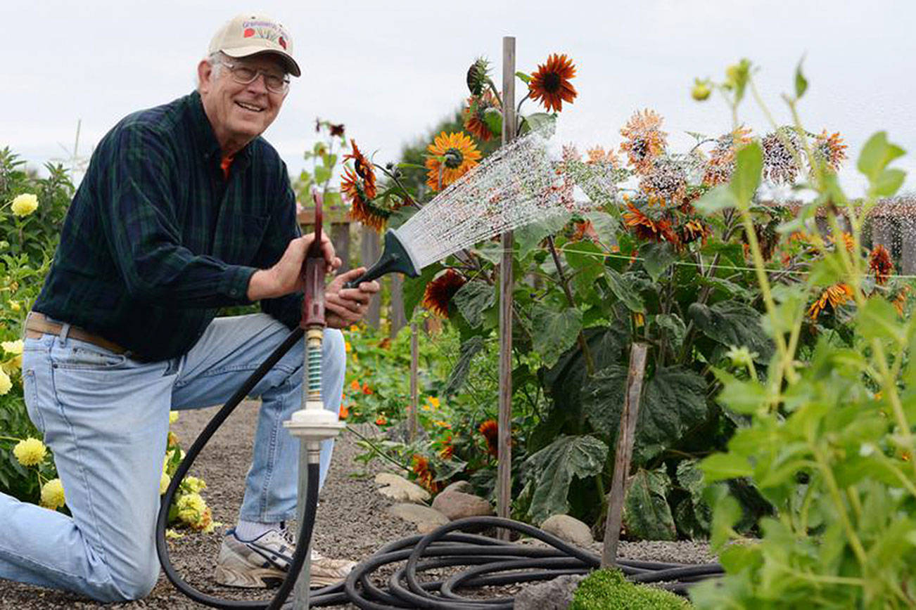 Community Organic Gardens of Sequim celebrates a decade