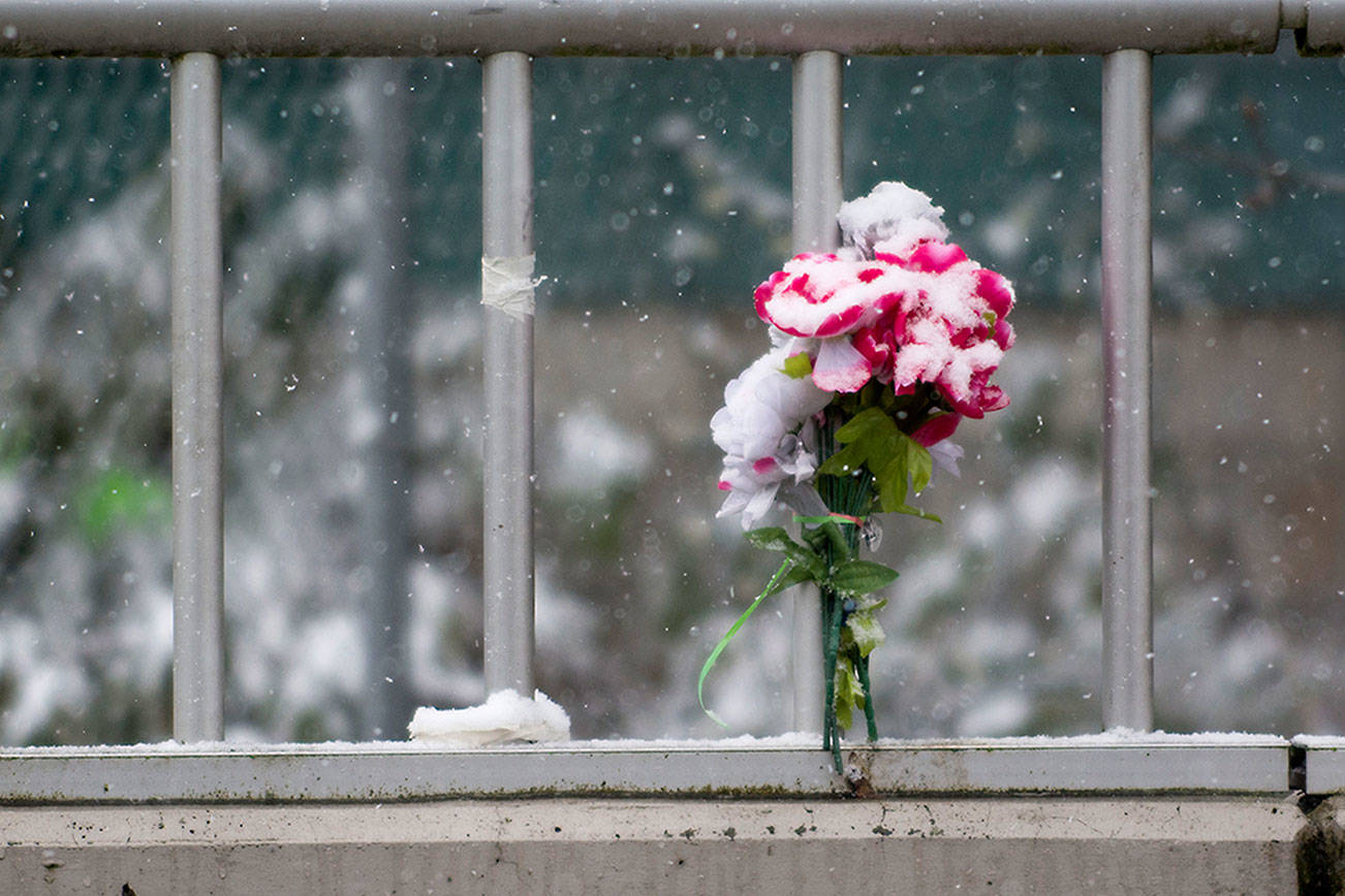 Lawmakers seek funding for Port Angeles suicide barriers