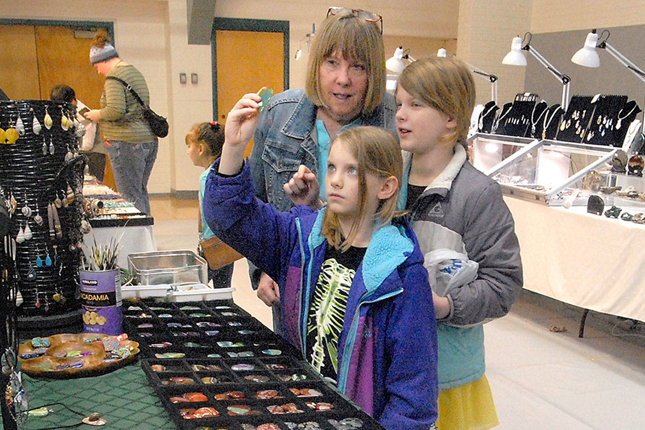 Rock and Gem Show to sparkle at Vern Burton Center