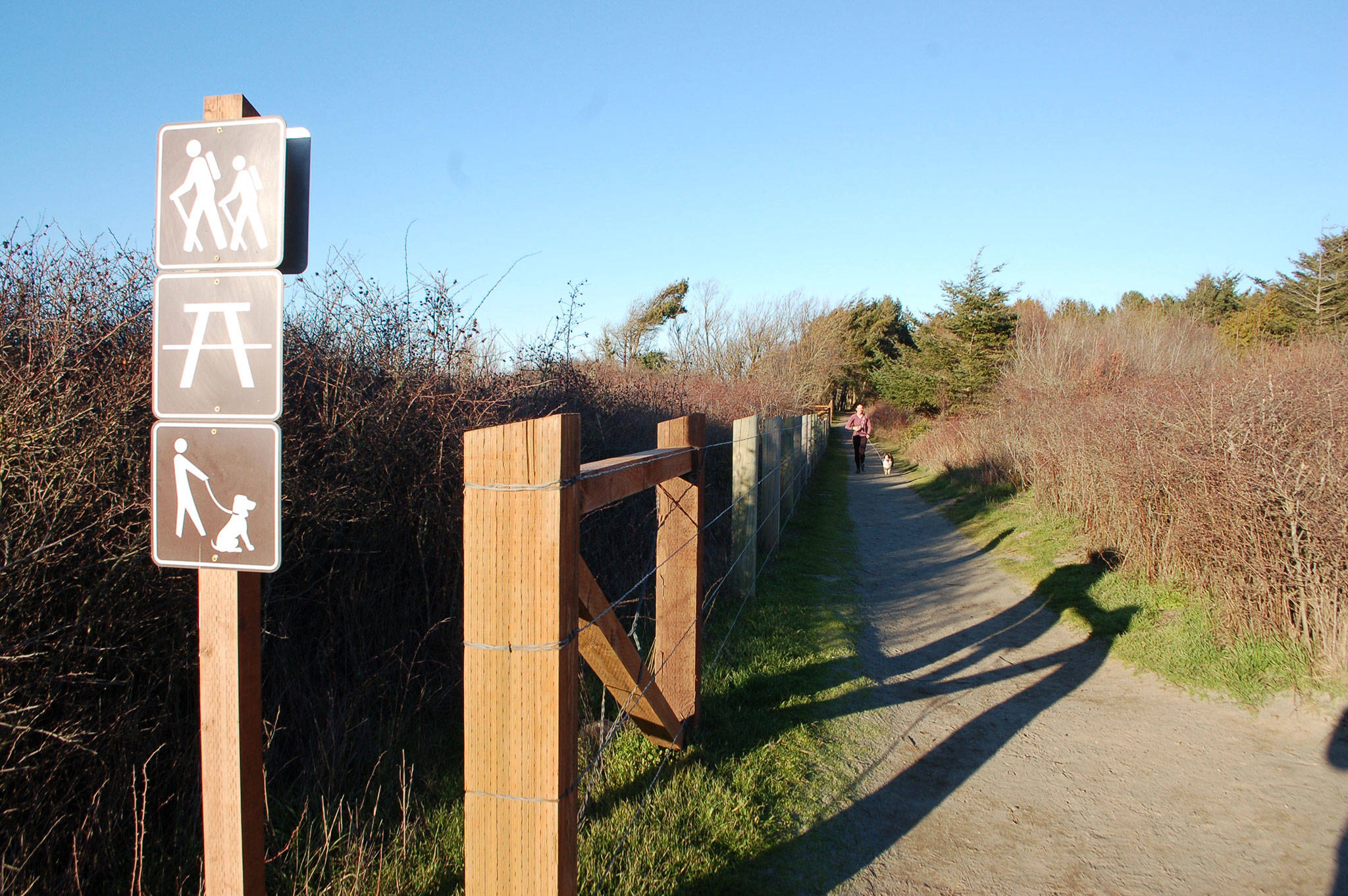 One of the proposed changes to the Dungeness Recreation Area Master Plan includes realigning the bluff trails closer to the campgrounds due to continued erosion along the bluffs, according to the Clallam Count Parks Department. Sequim Gazette photo by Erin Hawkins