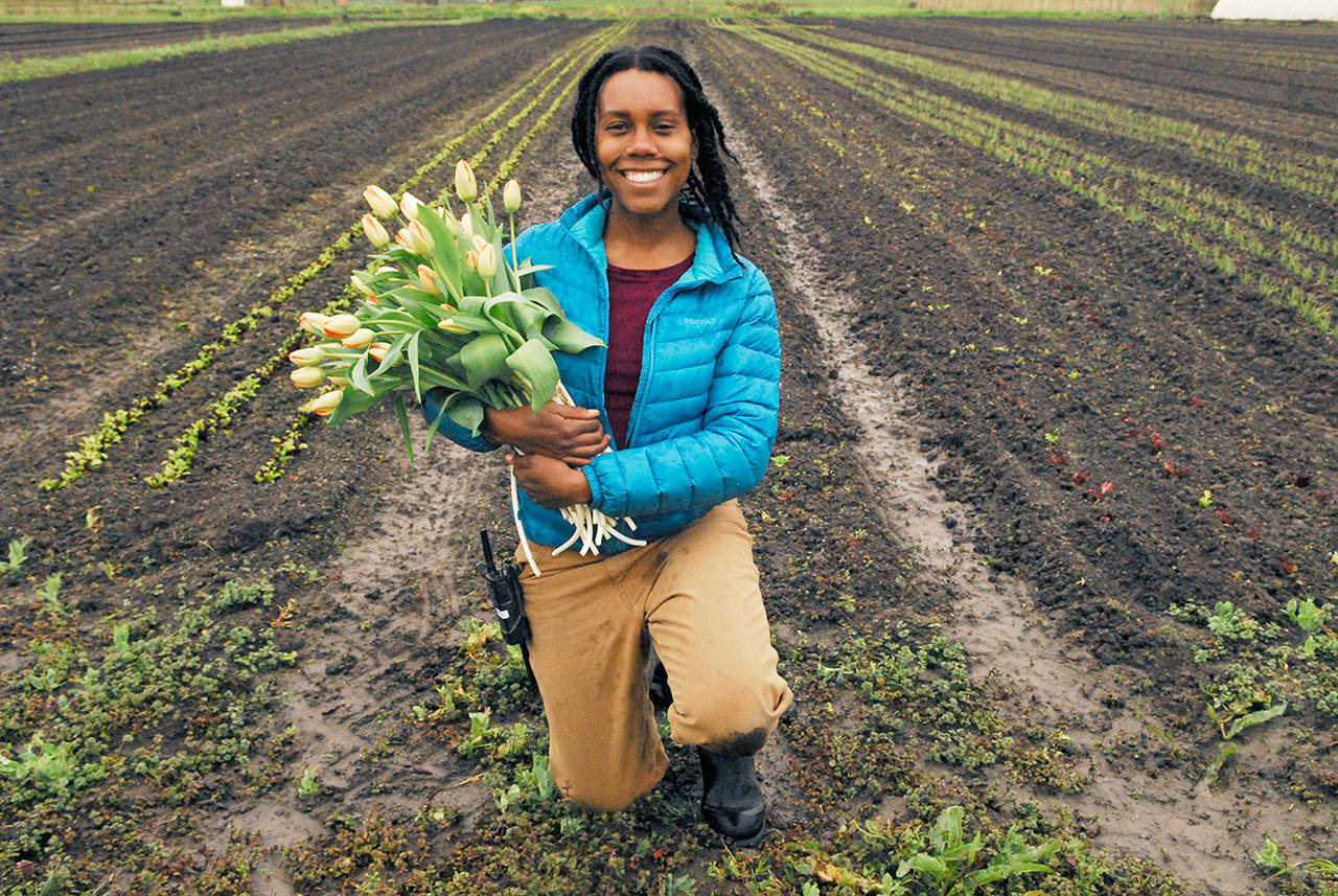 Courtney Wills of Chimacum’s Red Dog Farm and fellow team members are preparing to participate in the 26th season of the Port Townsend Saturday Farmers Market. (Jeannie McMacken/Peninsula Daily News)