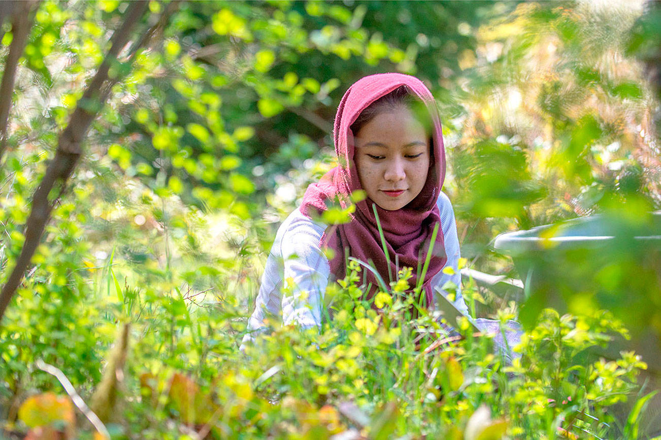 PHOTO: Environmental affairs at Peninsula College