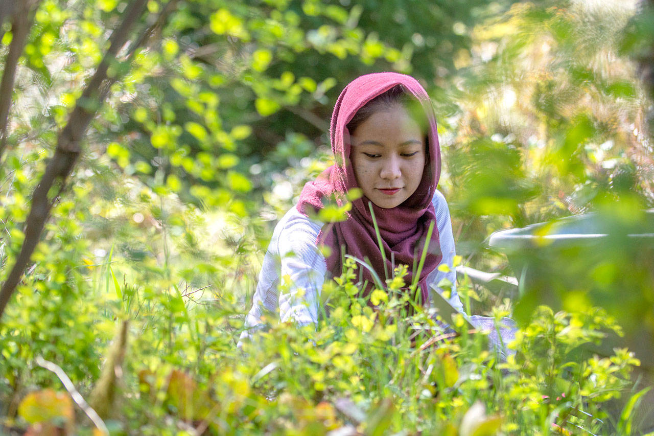 PHOTO: Environmental affairs at Peninsula College