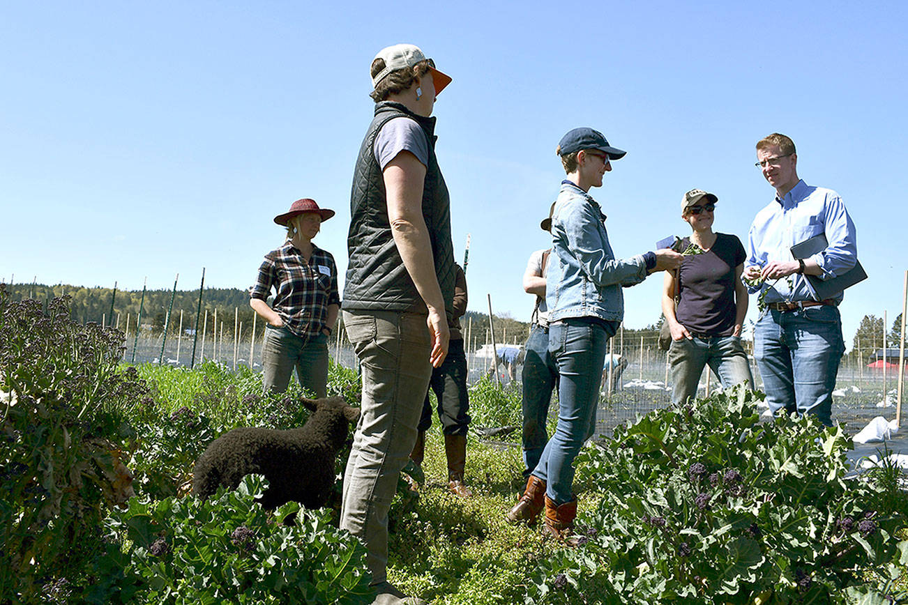 Kilmer hears from organic farmers on Peninsula