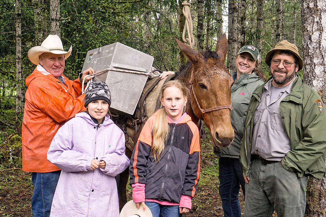 HORSEPLAY: Remember to provide fresh drinking water for horses