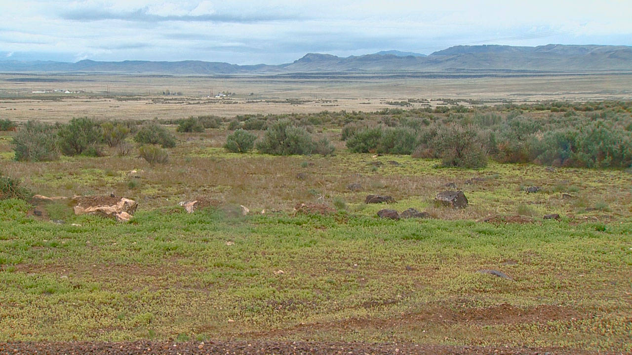 This April 15, 2017, video image courtesy of KTVB-TV shows the remote area where skeletal remains were found in a badger hole north of Mountain Home, Idaho. Two 500-year-old skeletons discovered on federal land in Idaho’s high desert plains will be turned over to Native American tribes. U.S. officials in a series of notices that started Friday said the remains of the young adult and child will be given to the interrelated Shoshone-Bannock Tribes in eastern Idaho and the Shoshone-Paiute Tribes in southern Idaho and northern Nevada. (Paul Boehlke/KTVB via AP)