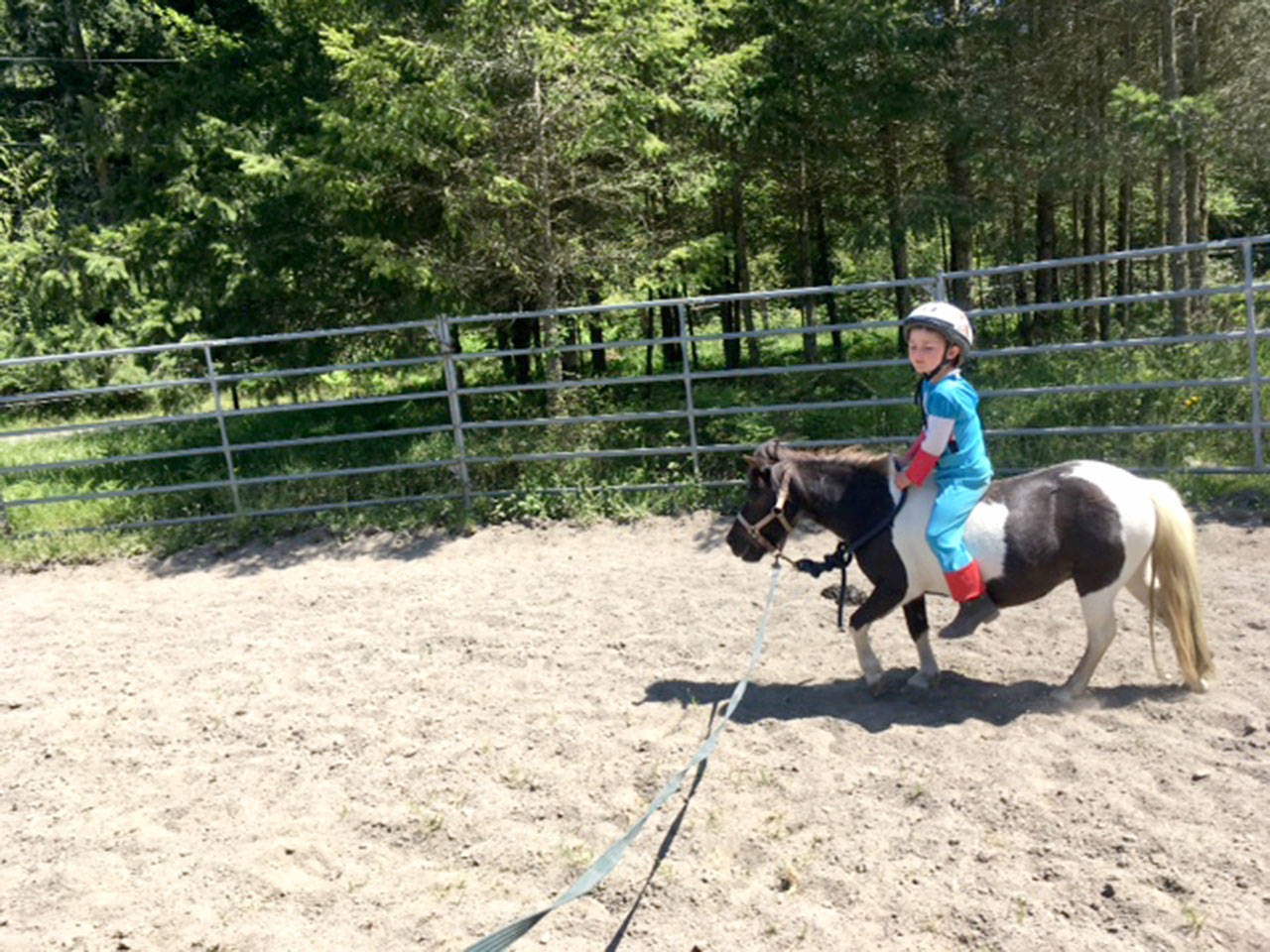 Karen Griffiths’ newly acquired mini-horse, an amiable pinto mare named Gypsy, proves to be a wonderful companion and confidence builder to her great-nephew Isaac, 5. (Karen Griffiths/for Peninsula Daily News)