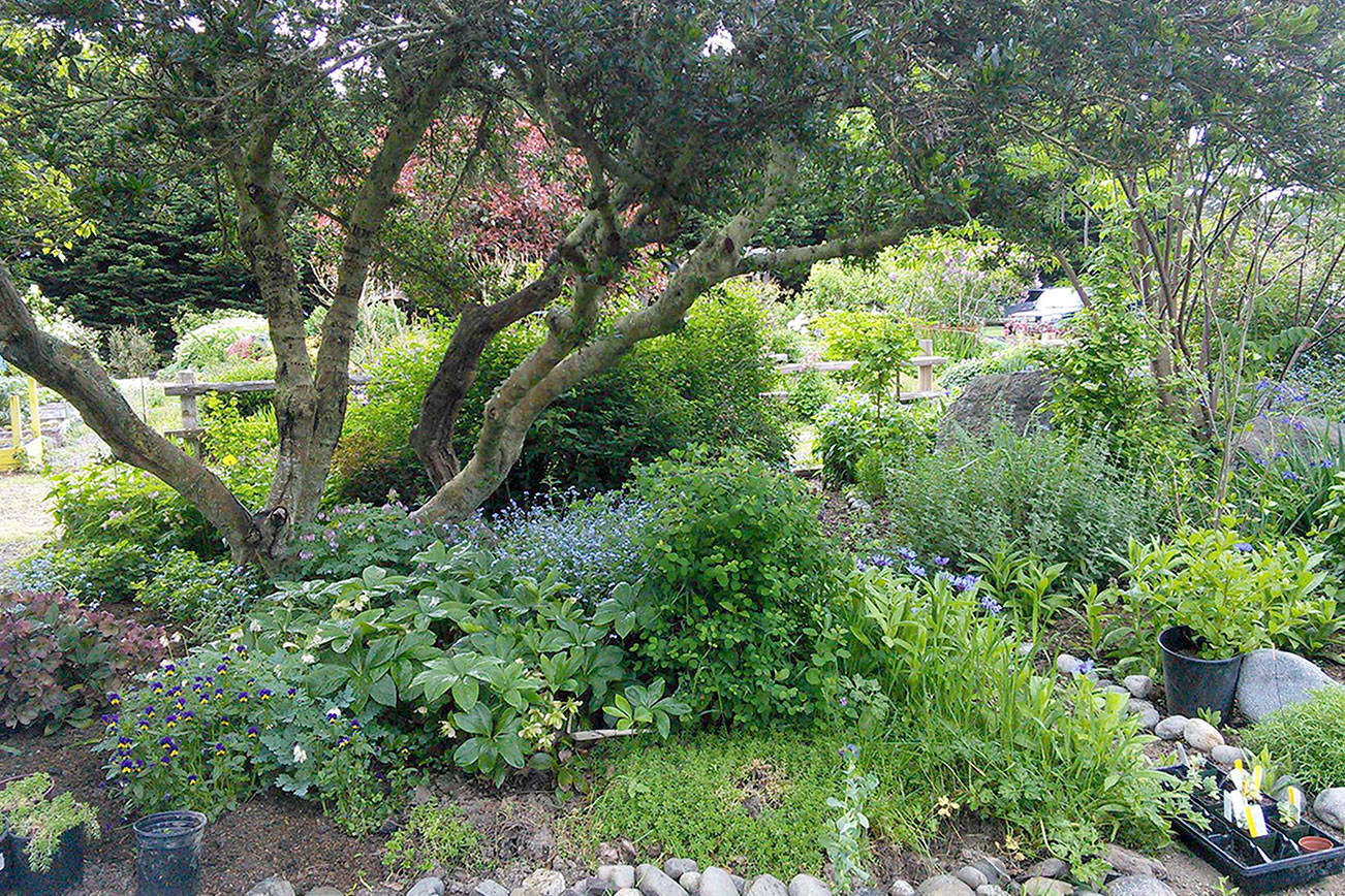 Garden walk in Sequim set for Thursday