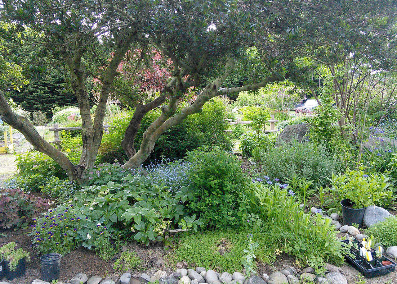 The Pollinator Garden at Woodcock Demonstration Garden features native and non-native deciduous and evergreen plants that bloom at various times during the year providing year-round color.