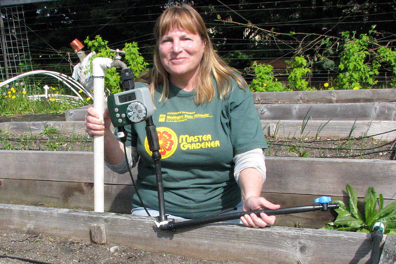 Drip irrigation for gardeners to be explained