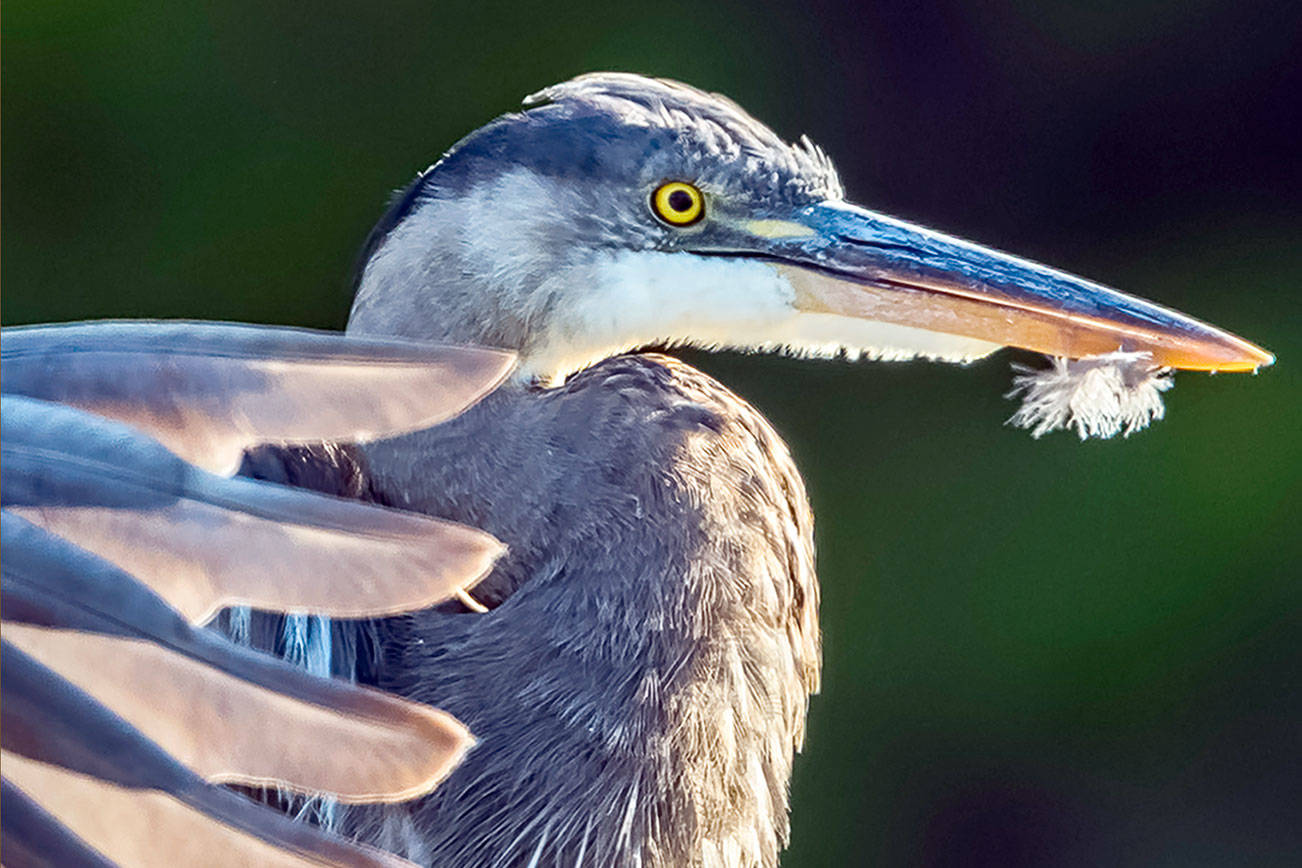 Artists invited to ‘Brush Off’ for Second Weekend