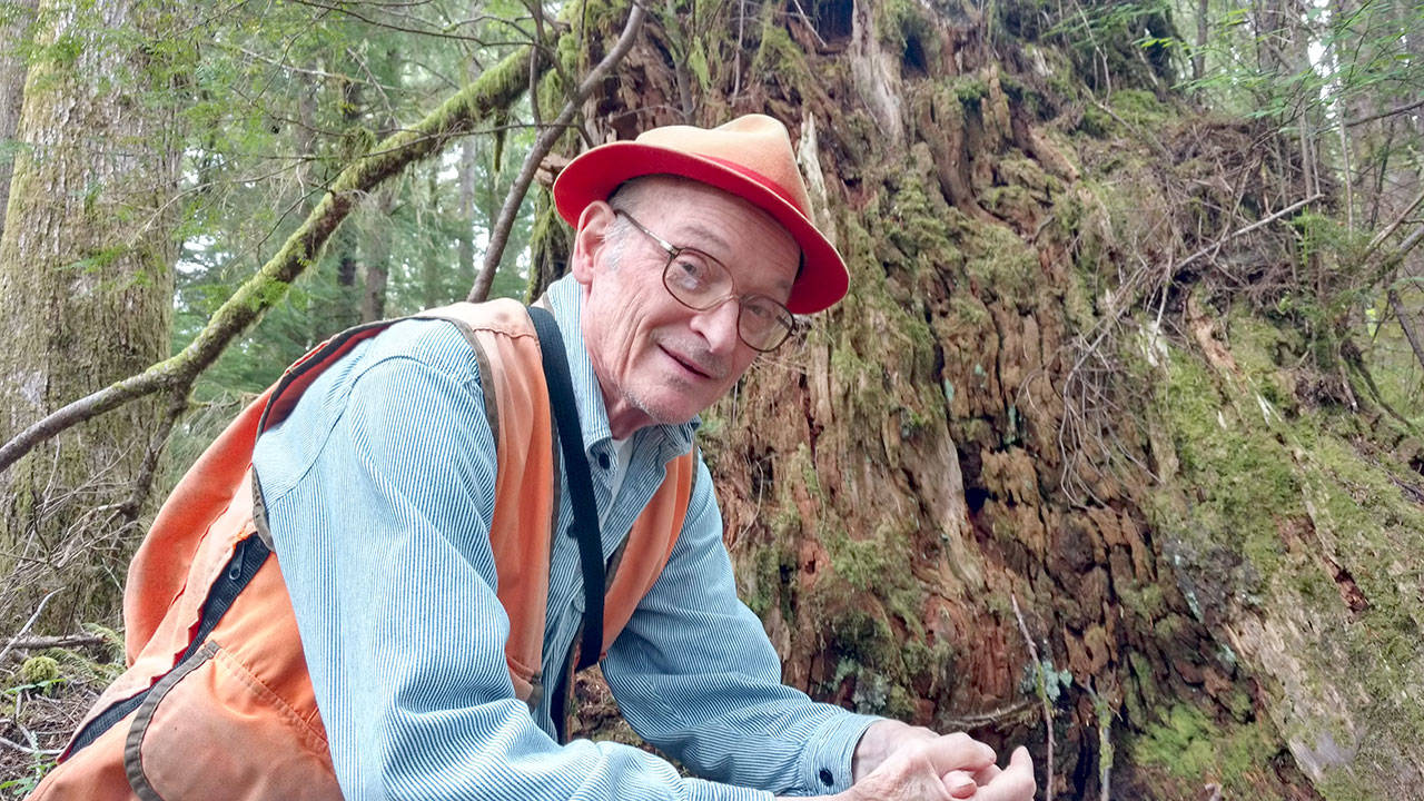 Stan Fouts sits in his natural setting of the Sol Duc Valley. (Zorina Barker/for Peninsula Daily News)