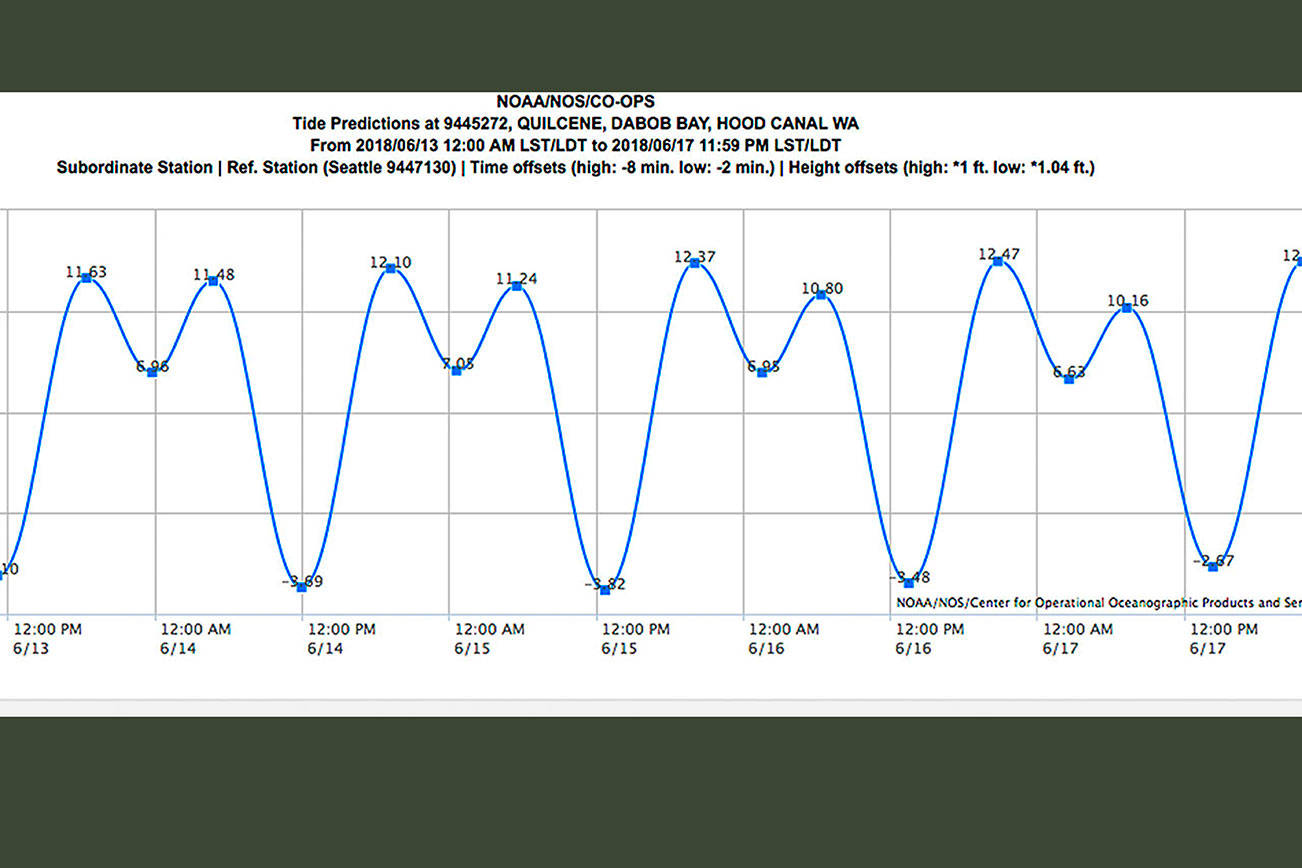 OUTDOORS: Clam diggers, start your shovels … some extraordinarily low tides coming up