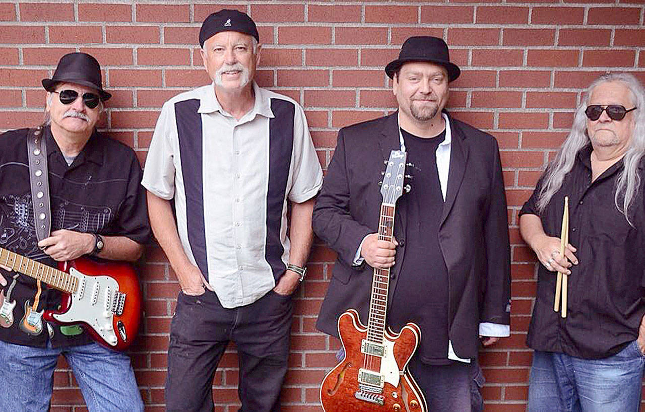 The Blue Rhinos kick off the 2018 Music in the Park series at the James Center for the Performing Arts, providing blues dance music to the crowd Tuesday.