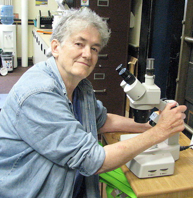 Master Gardener Muriel Nesbitt presents “Nematodes: The Good and the Evil” on June 28 in Port Angeles. The presentation is part of the Green Thumb Garden Tips educational series. (Amanda Rosenberg)