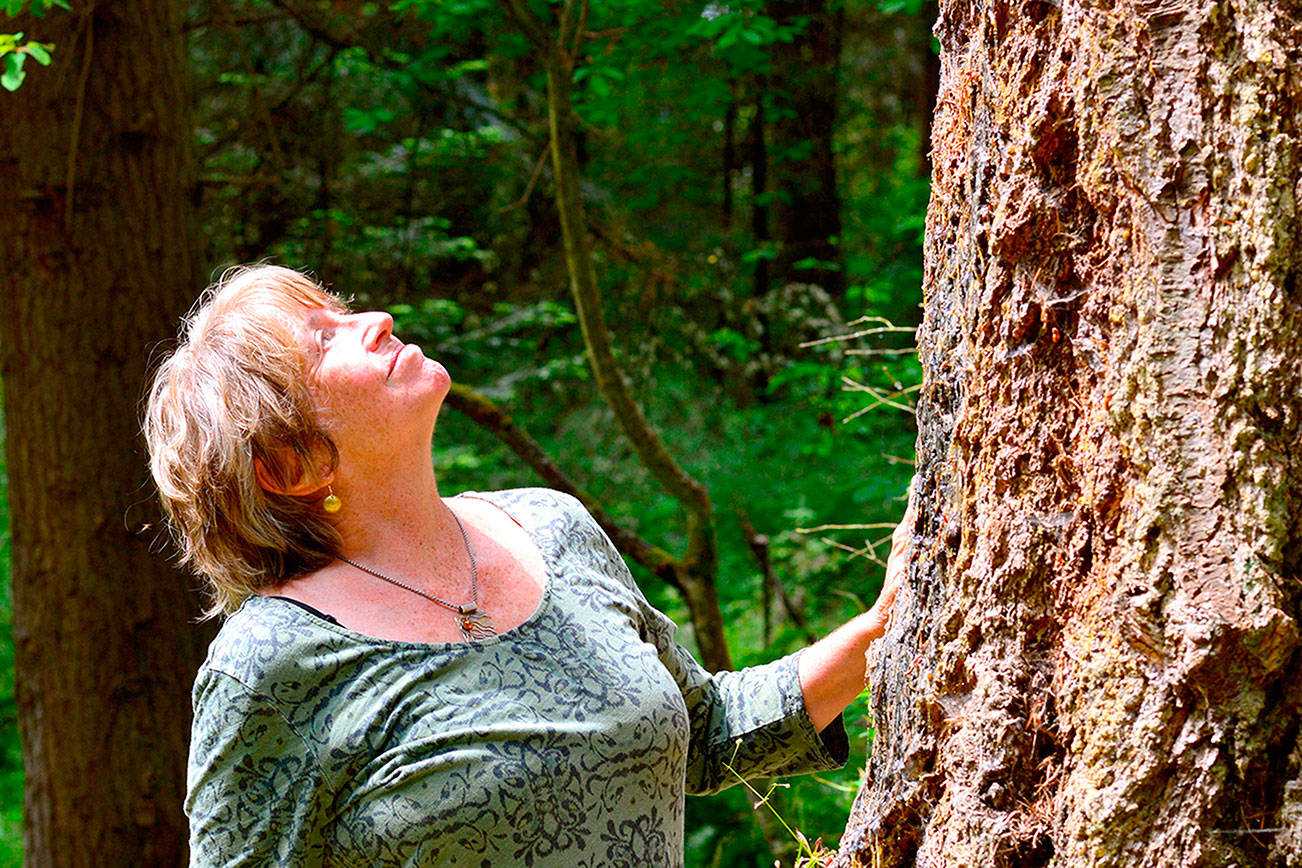 Draw a bath: Soaking in the forest atmosphere at Fort Worden