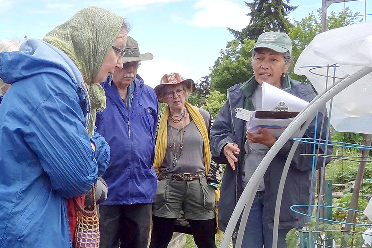 Beans, teepees and pruning set for garden walk