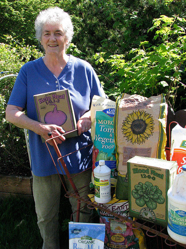 Veteran Master Gardener Muriel Nesbitt will present tips for applying appropriate garden fertilizers in the right amount today in Port Angeles as part of the Green Thumb Brown Garden Tips educational series. (Amanda Rosenberg)