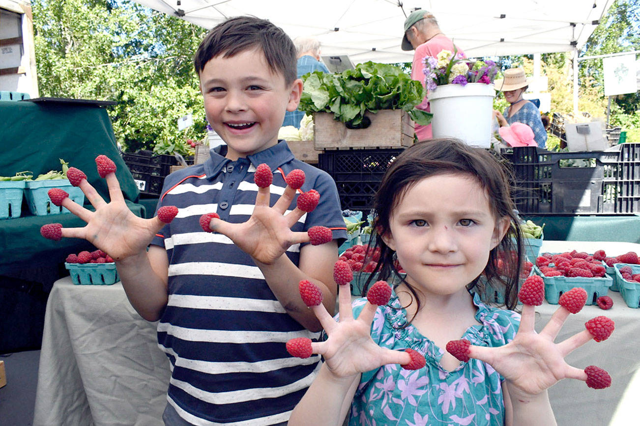 PHOTO: Finger fruit at Jefferson County Farmers Market