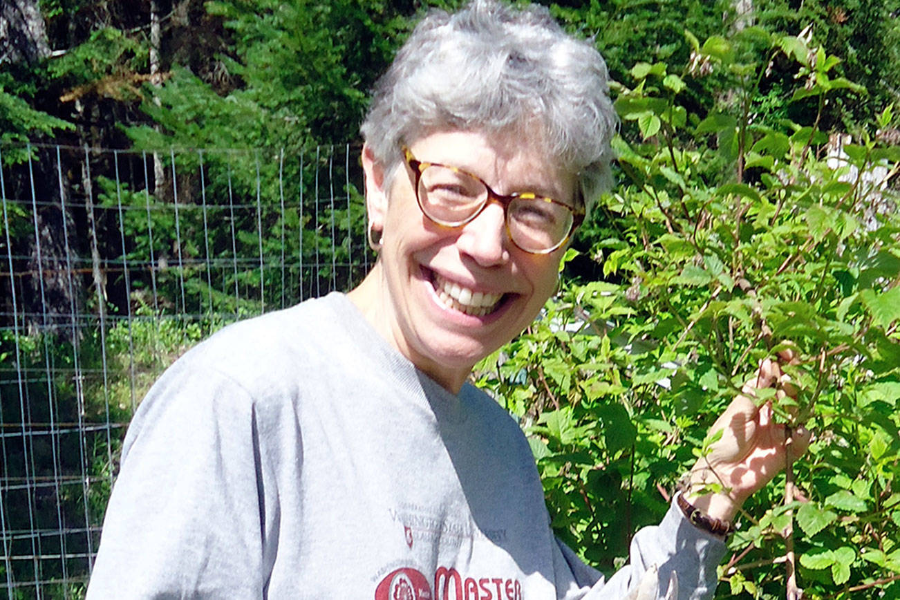 Master Gardener talk to focus on berries Thursday