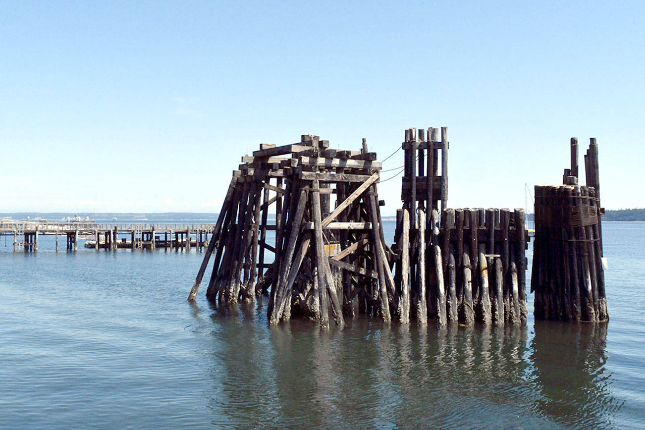 Fundraising to begin in fall for Chetzemoka Interpretative Trail