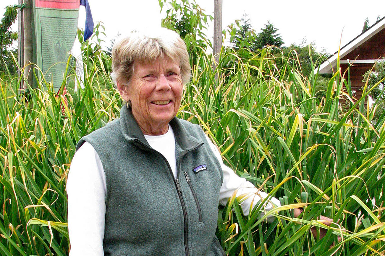 Tips offered for growing organic garlic