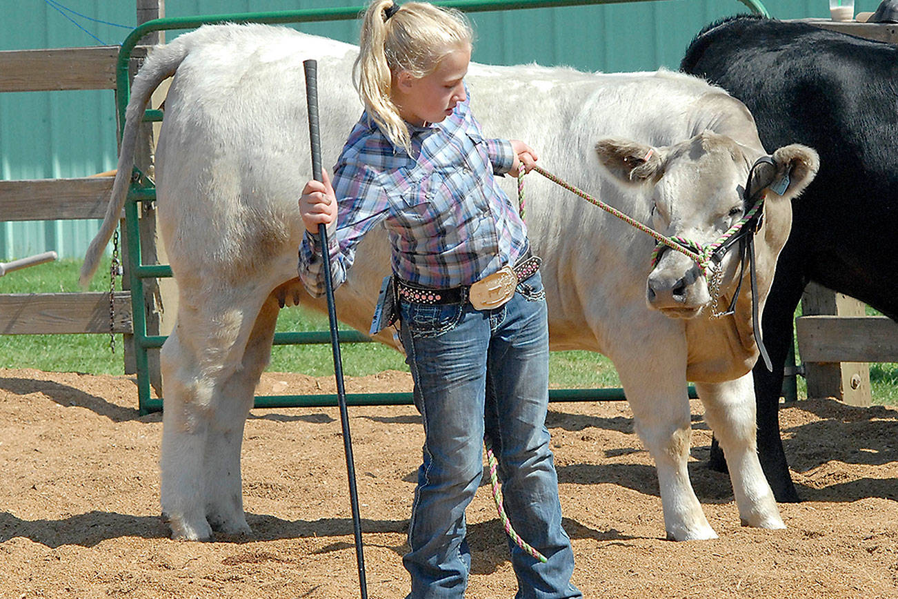 PHOTO GALLERY: Clallam County’s fair days of summer