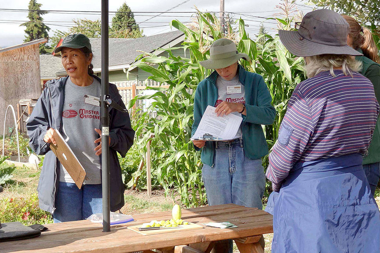 Final Port Angeles garden walk of season on Saturday