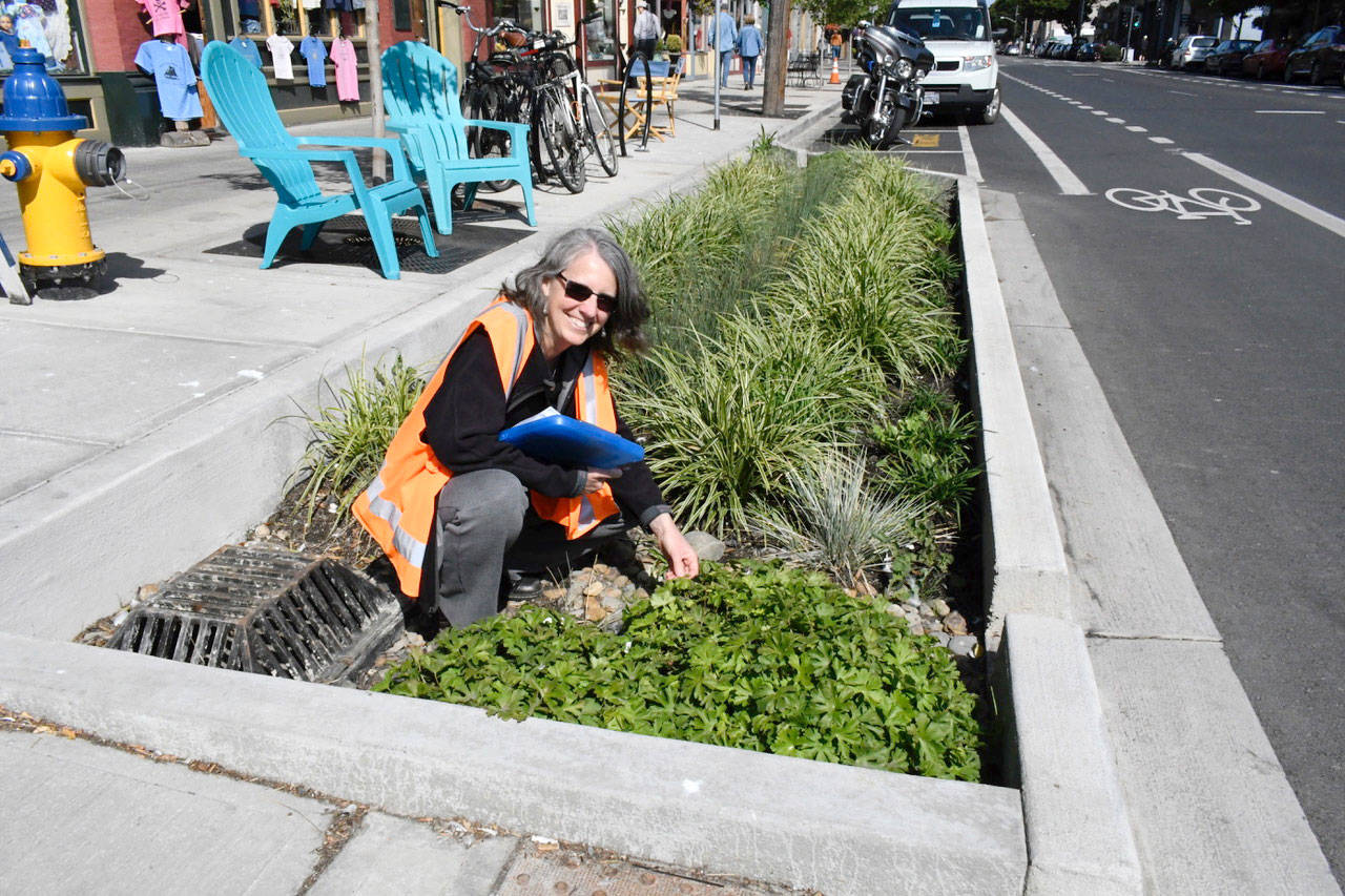 Jeannie McMacken/Peninsula Daily News