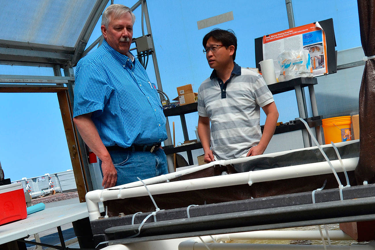 Uranium from the sea: Sequim lab links yarn and seawater to expand energy options