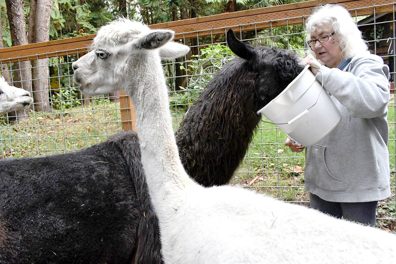 Jefferson County tour spotlights working farms