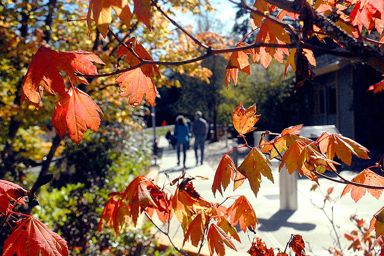 PHOTO: Fall approaching on the Peninsula