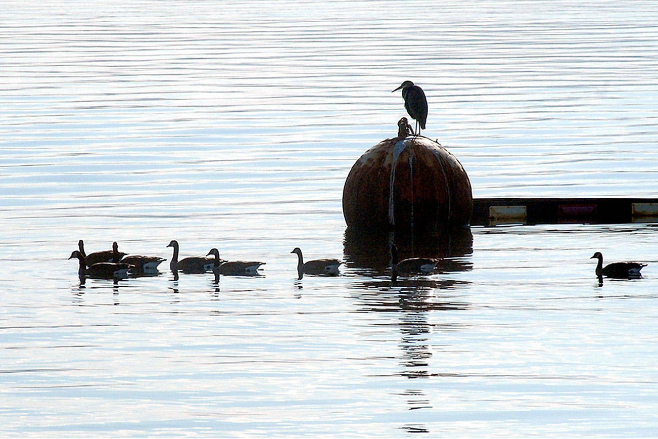 PHOTO: Taking a break
