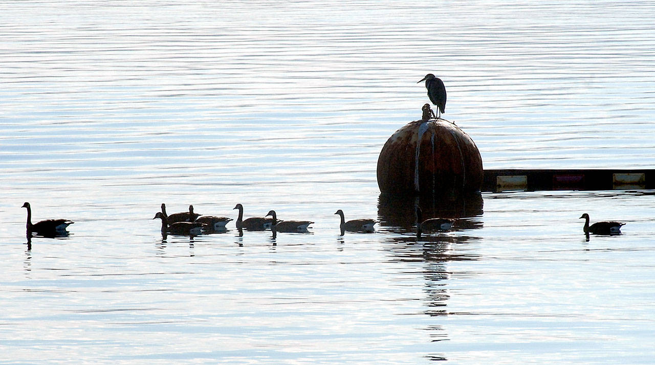 PHOTO: Taking a break