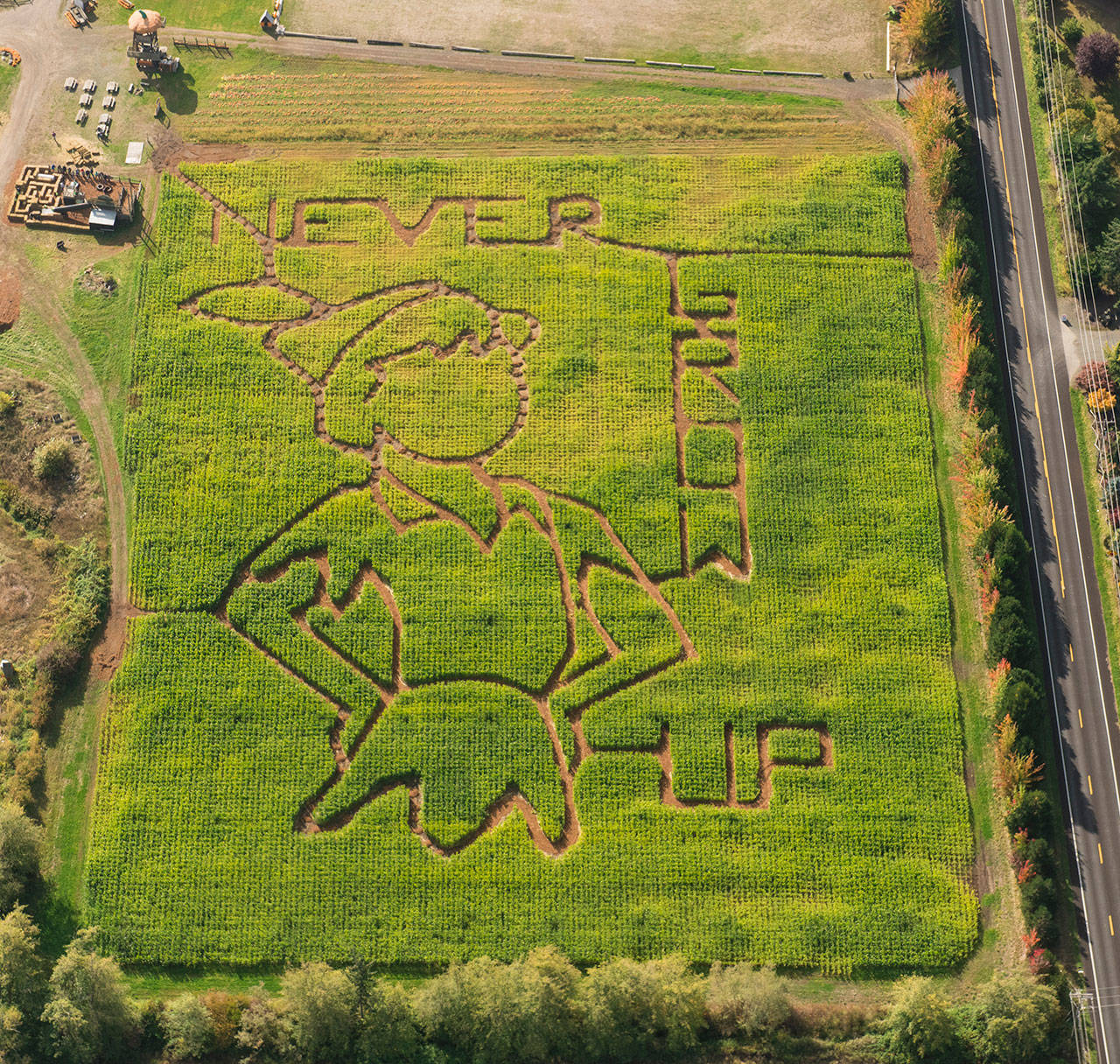 The Pumpkin Patch features the theme “Never Grow Up” this year. It opens daily from noon to 6 p.m. through Oct. 31. (Dave Woodcock)