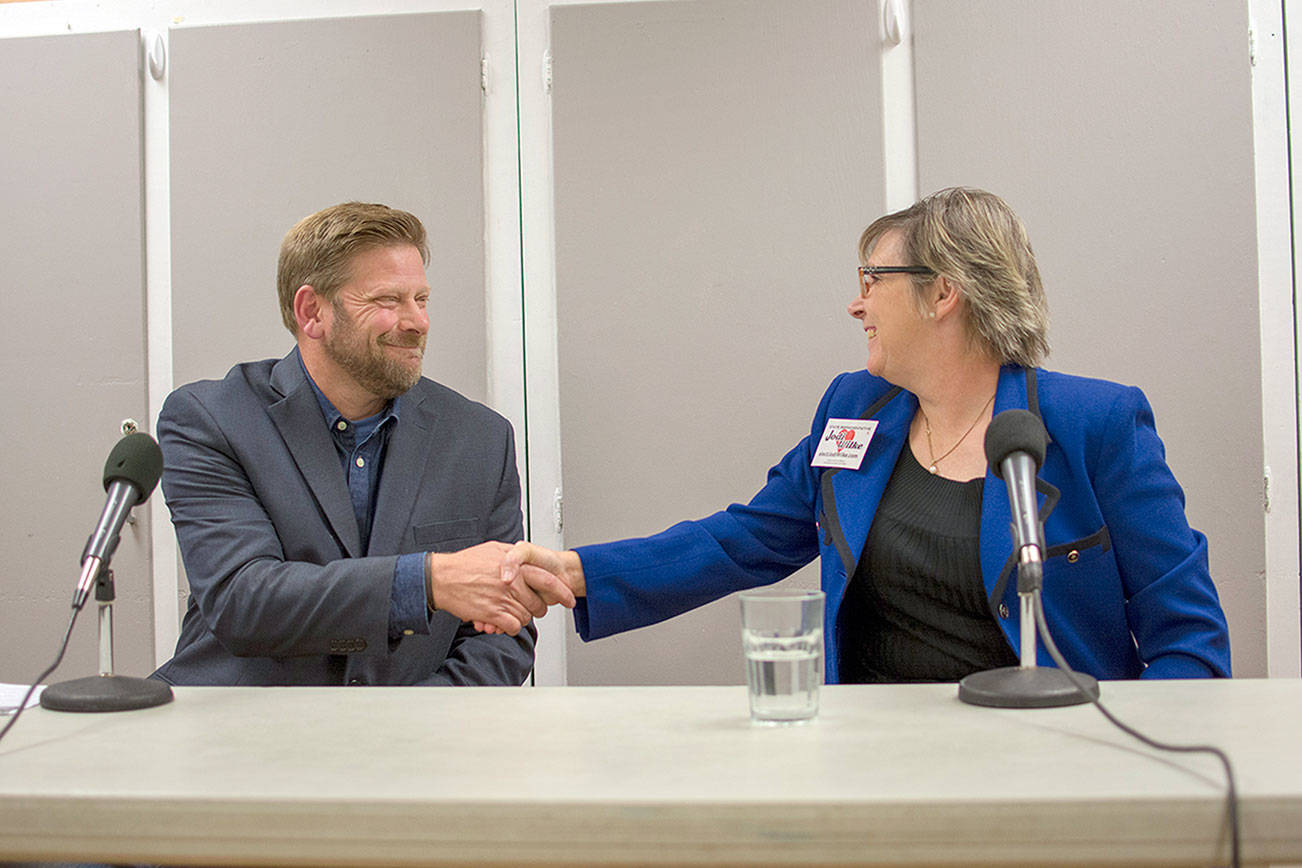 Legislative District 24: Chapman, Wilke differ on school violence, corporate personhood