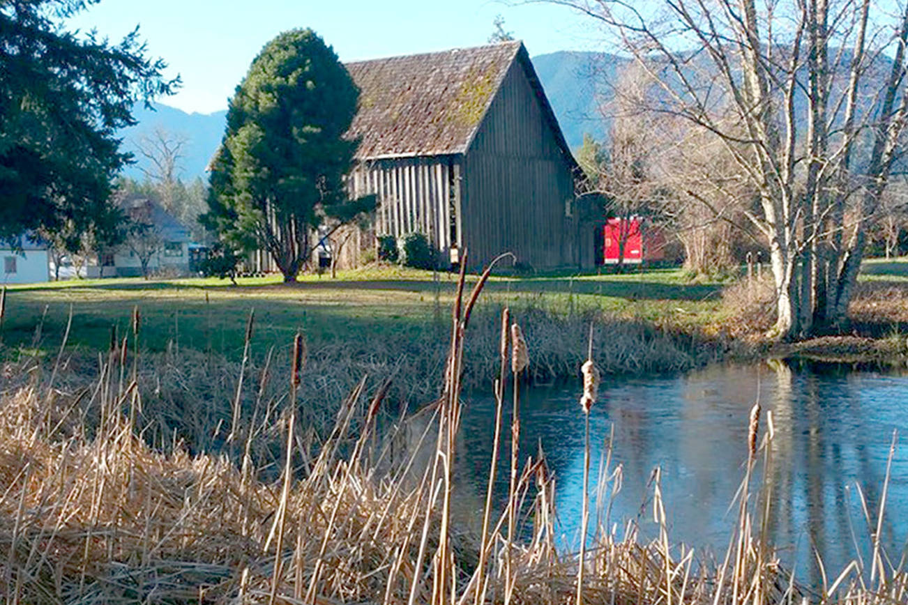 Scarecrows, games and a murder mystery highlighted at Quilcene festival